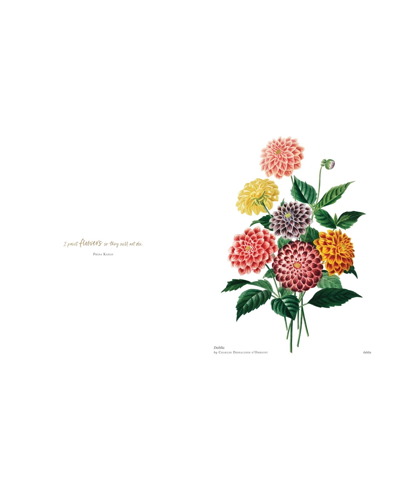 Biblioflora: A Celebration of Floral Beauty in Botanical Art by Jeanne Batiste - Book 5 of 6