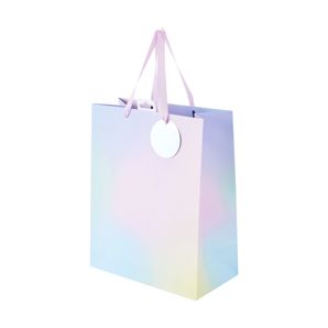 Ombre Gift Bag, Large - Anko product image