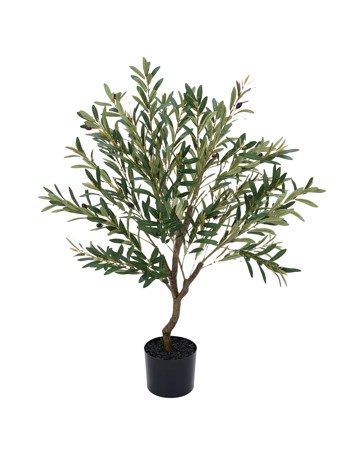 Anko Artificial Olive Tree in Pot