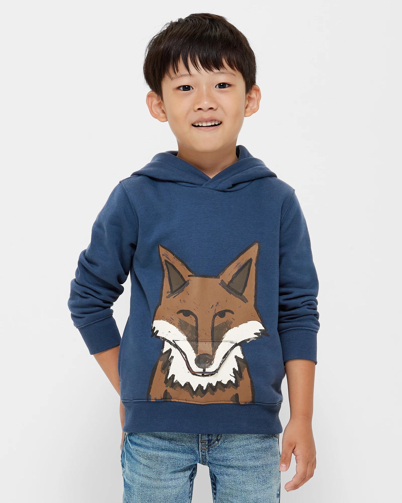 Boys fox hoodie shop