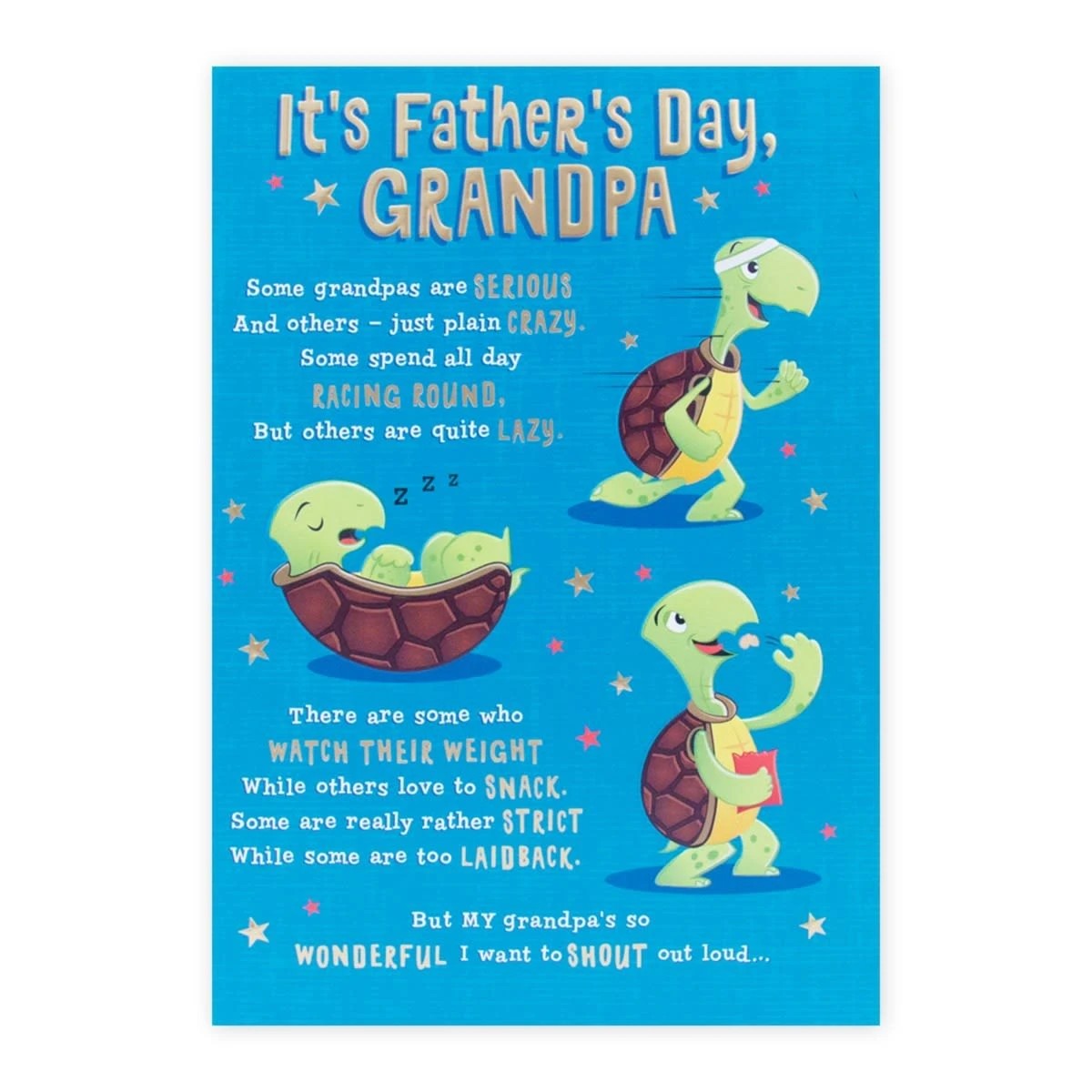 Hallmark Father's Day Card for Grandpa - Tortoises 3 of 3