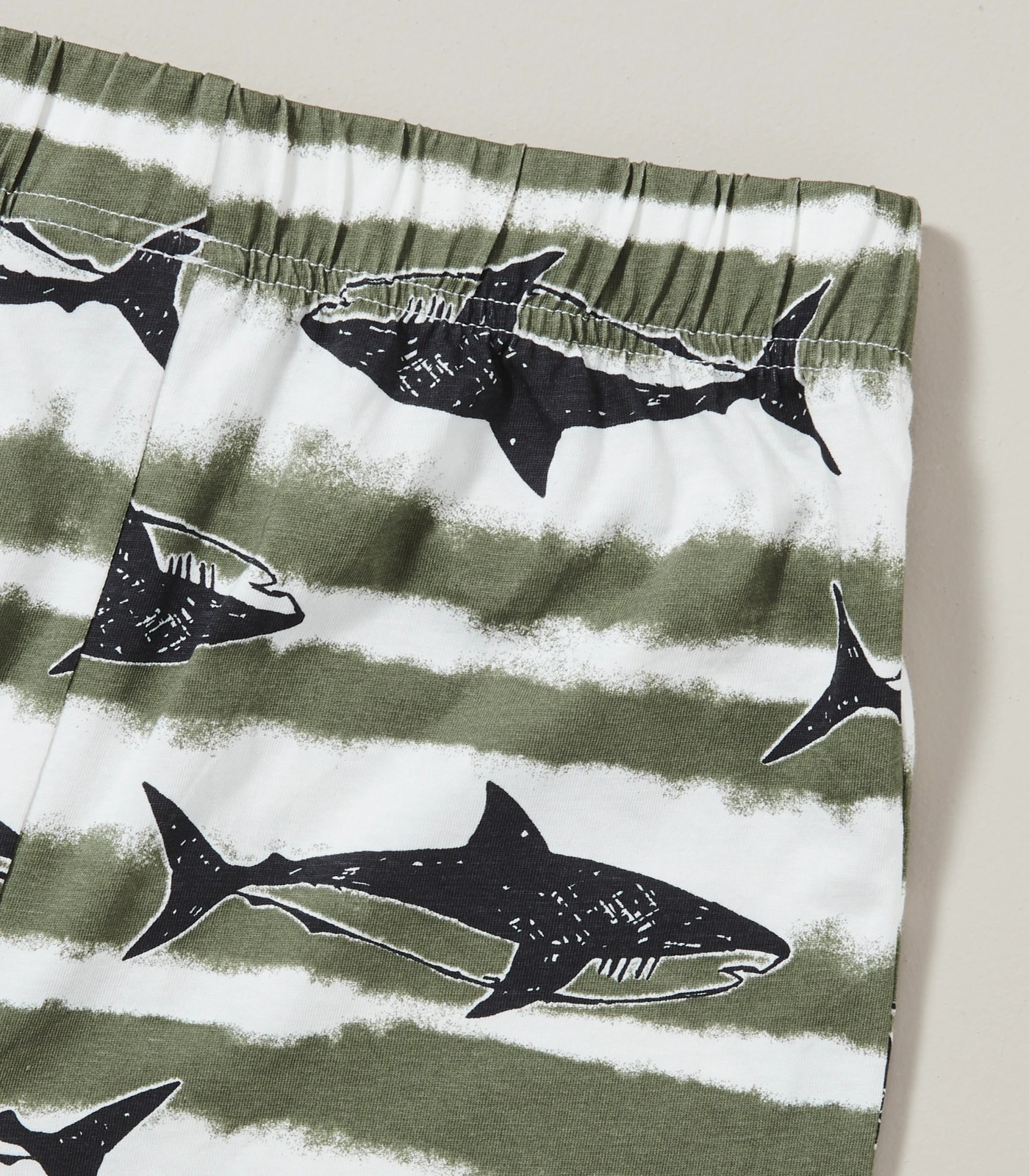 66957904_1+2113B5_370