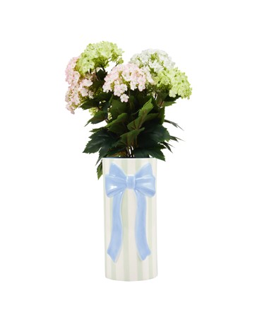 Anko Bow Stripe Vase