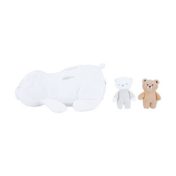Plush Activity Bear - Anko
