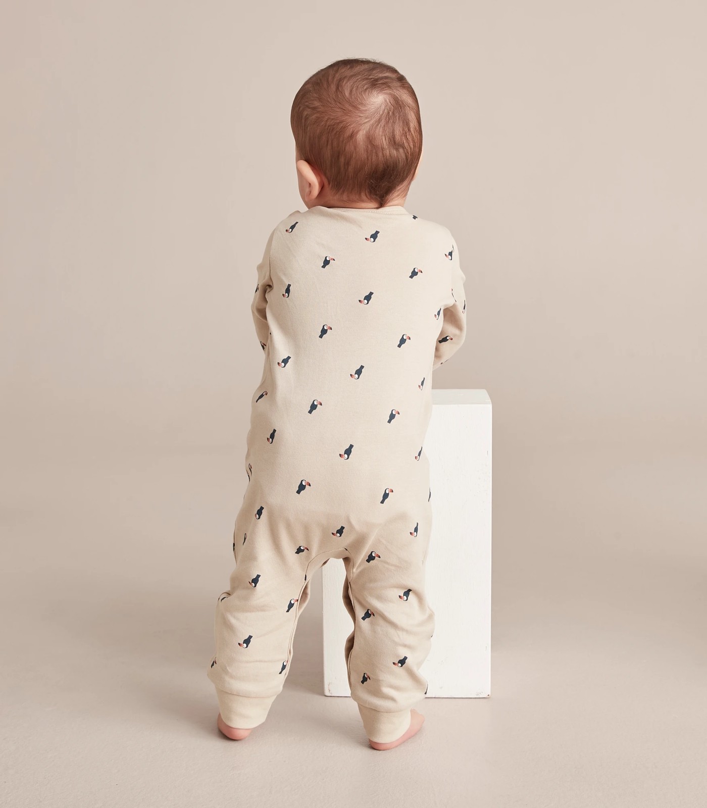 355_67090068_13+21FA6E