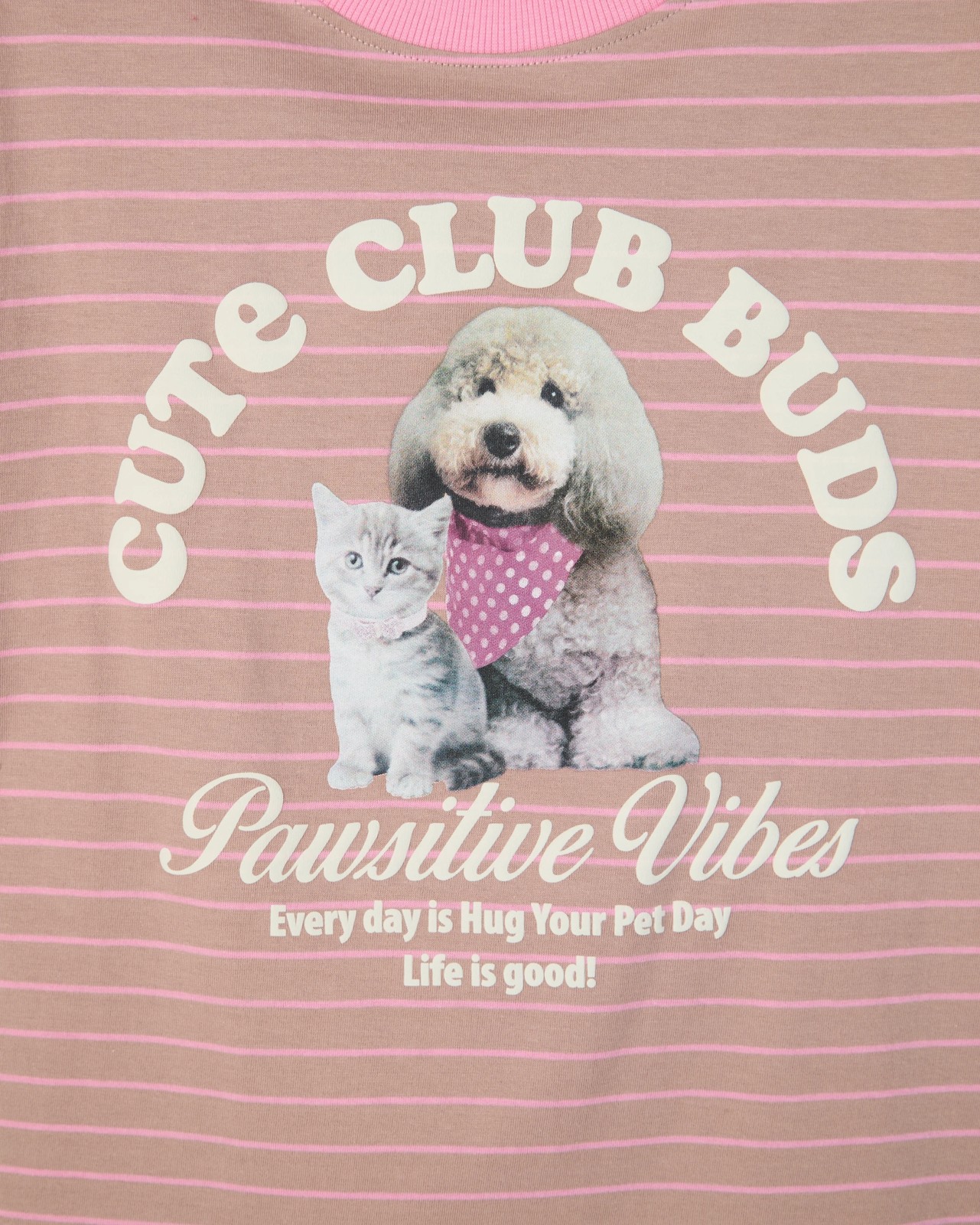 Australian Cotton Oversized T-Shirt - Pet Club Brown Stripe 5 of 6