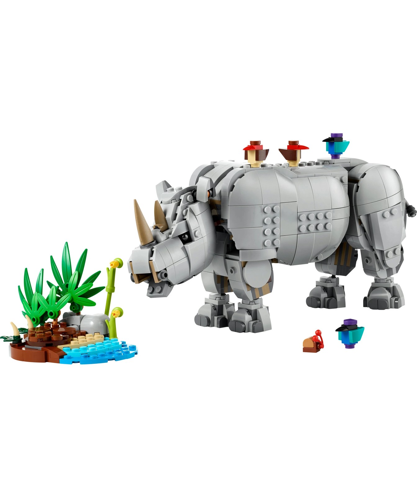 71638287-IMG-007