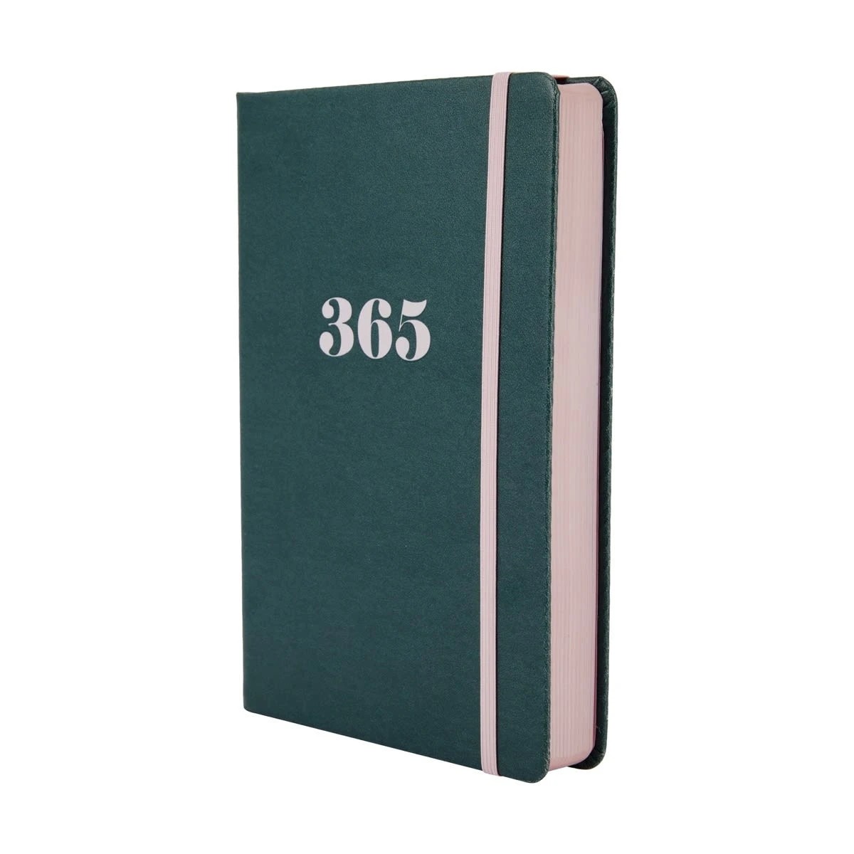 Anko A5 365 Journal Undated 3 of 4