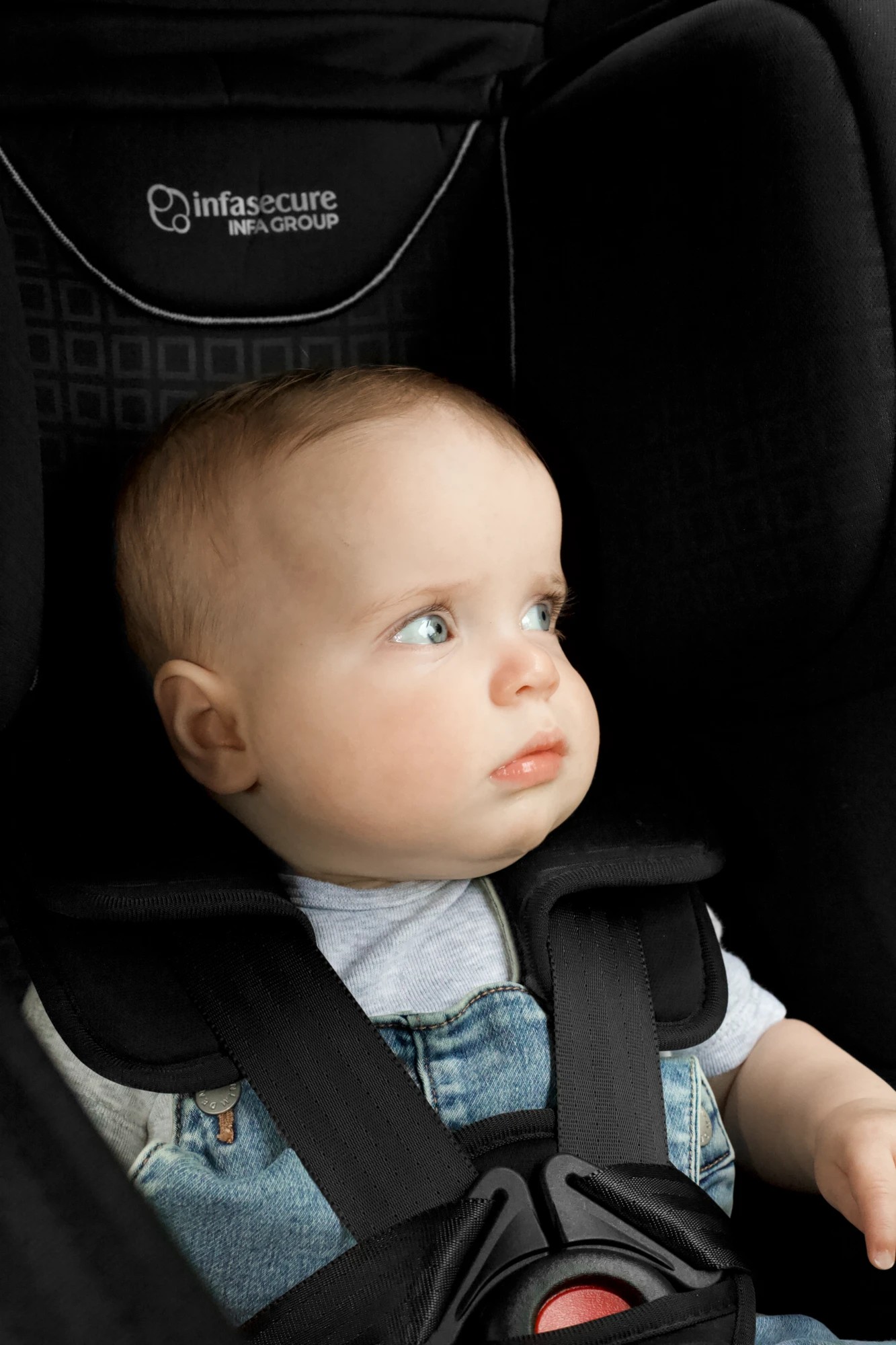 InfaSecure Grande Convertible Car Seat Charcoal Birth to 8 years Target Australia