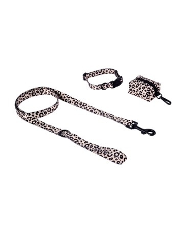 Anko Leopard Collar Walking Set - Small