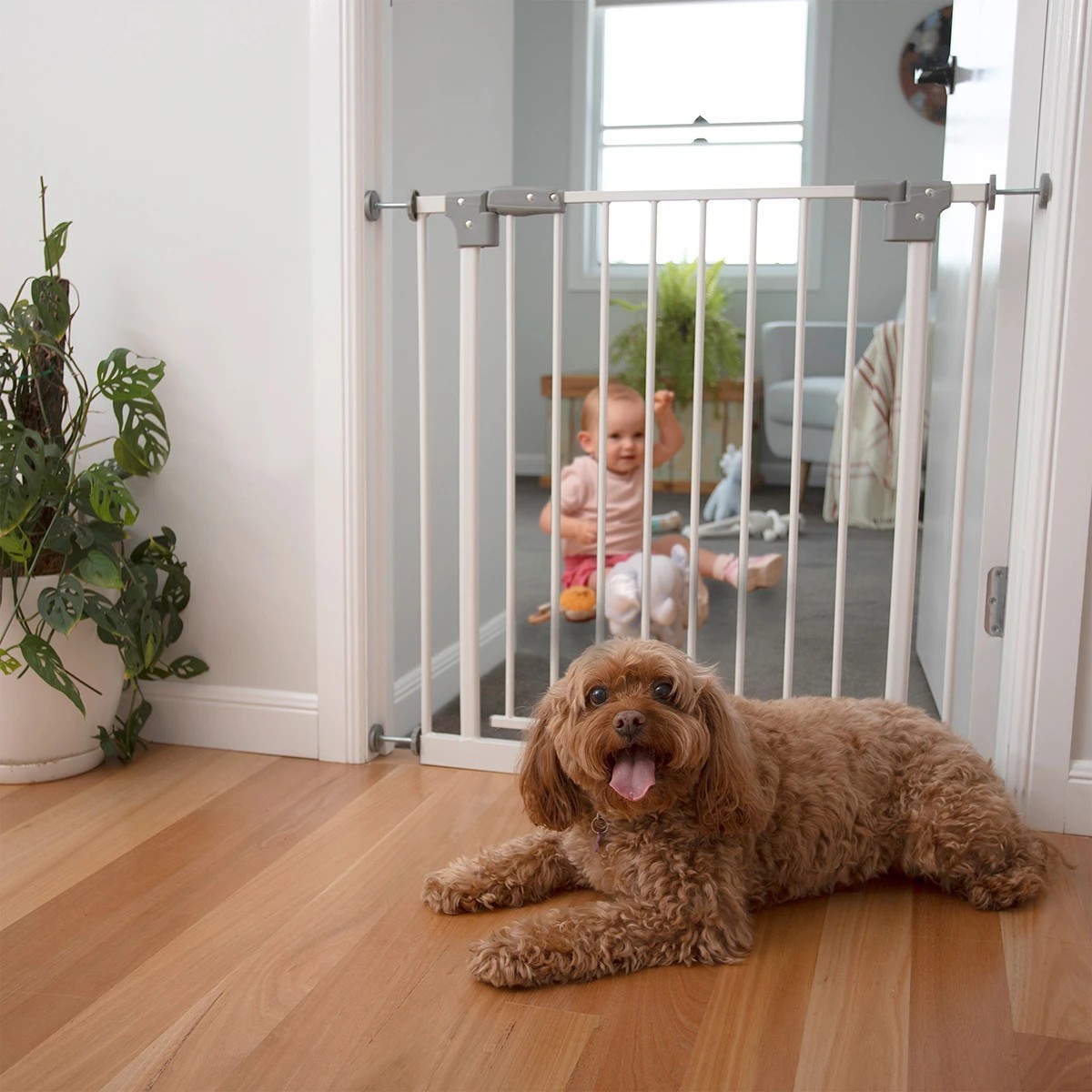 Kmart tall and wide metal gate best sale