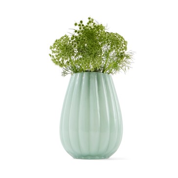 Tulip Glass Vase - Anko