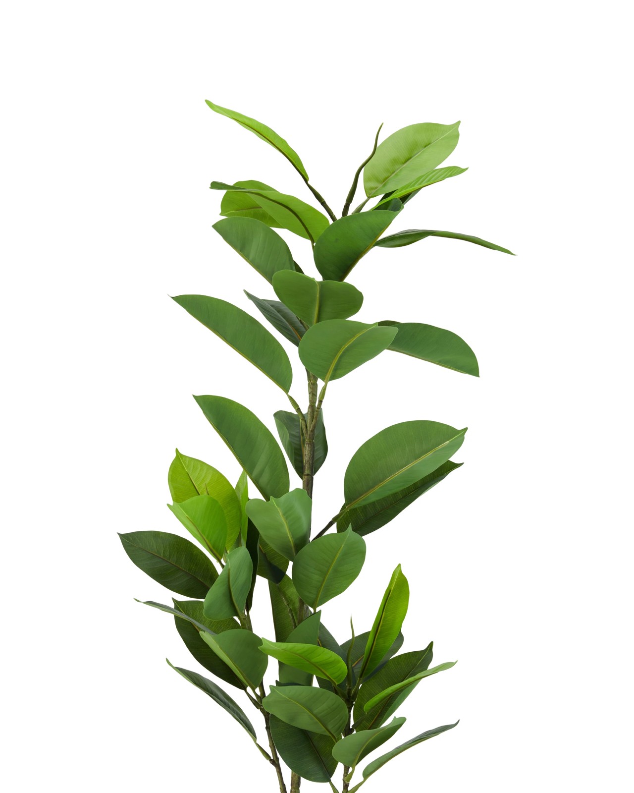 Anko Artificial Rubber Tree Plant 2 of 3