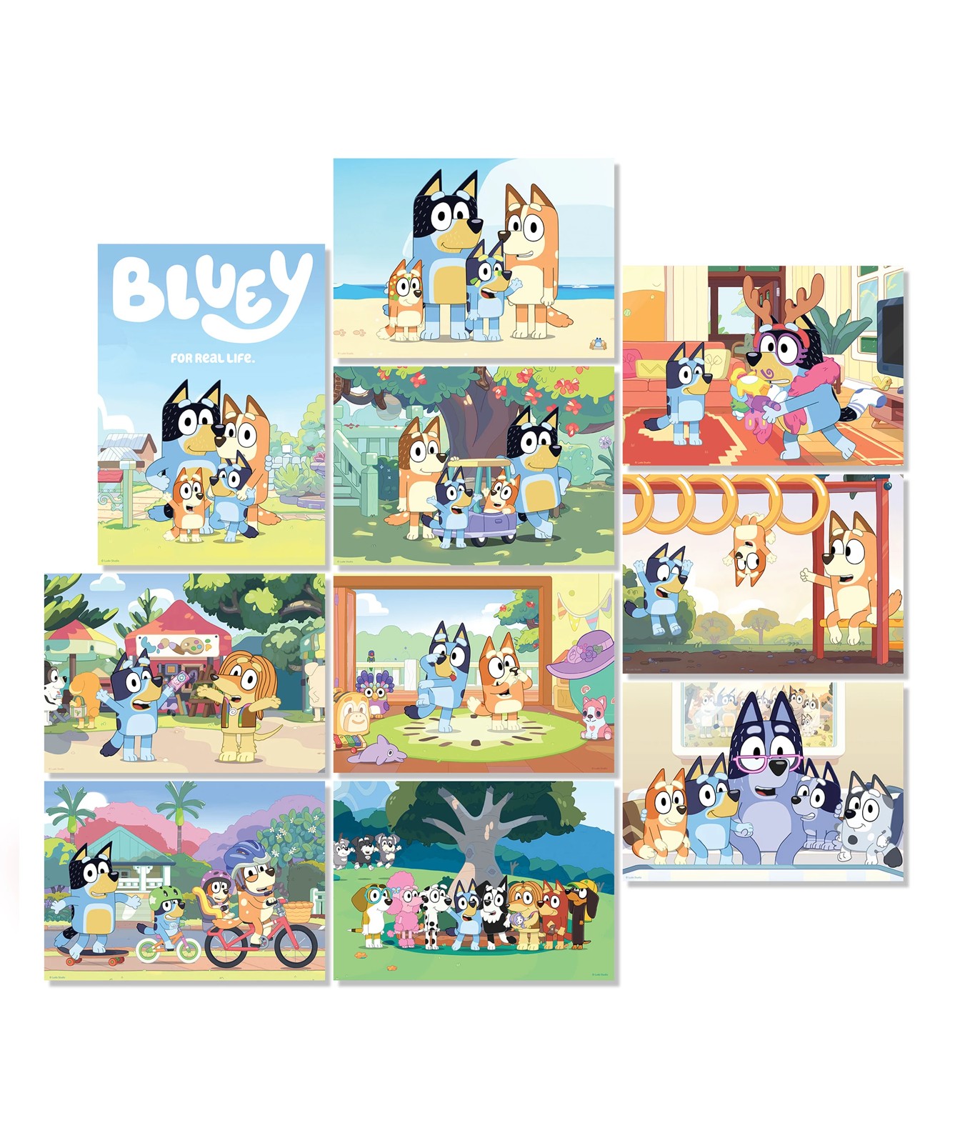 10 in 1 Licenses Jigsaw Puzzle - Assorted 2 of 5