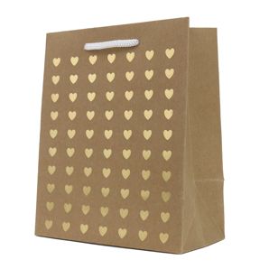 Hallmark Small Gift Bag - Kraft and Gold Hearts