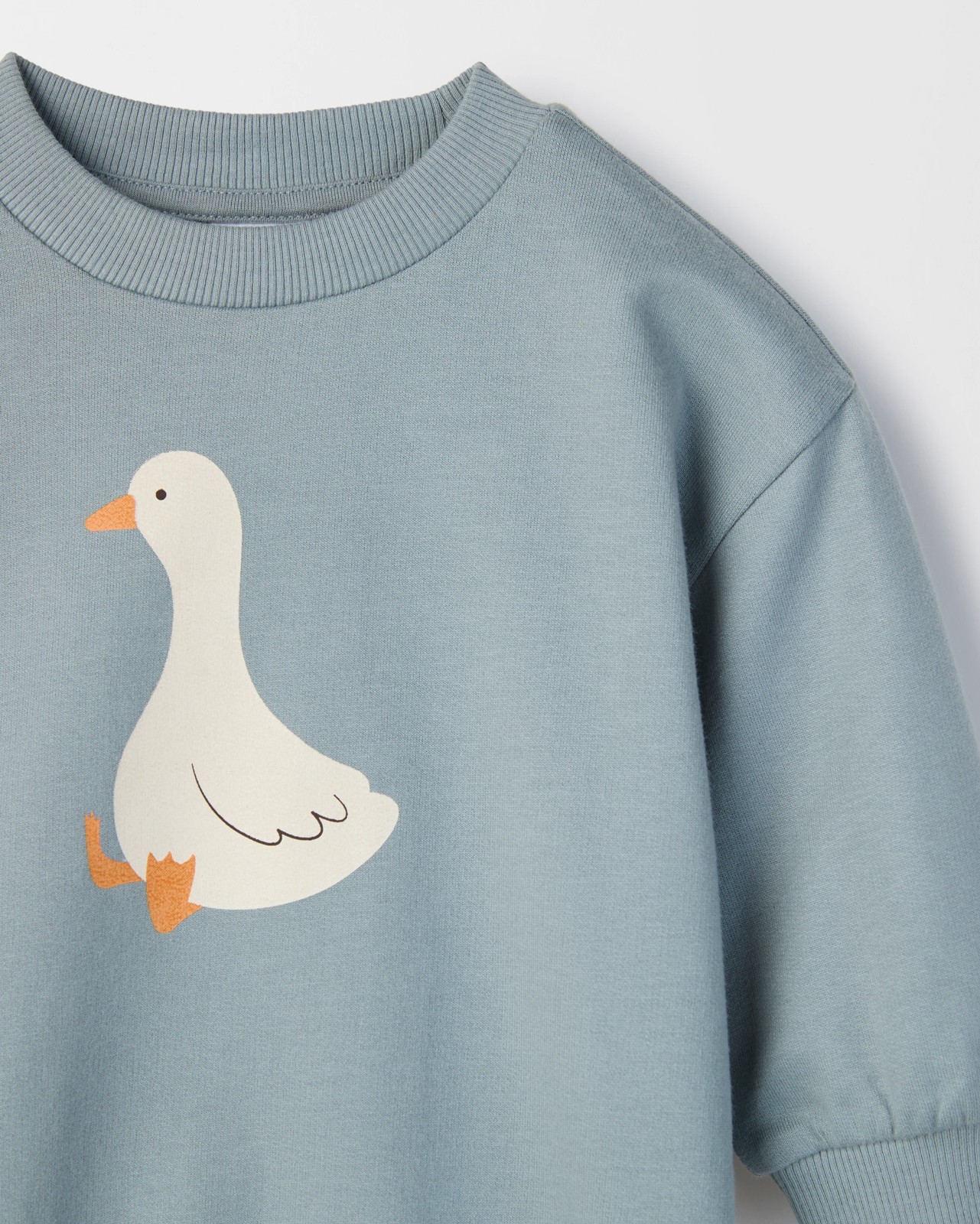 355_72027523_2+355T7202