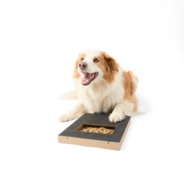 Nail Scratch Treat Dispenser - Anko