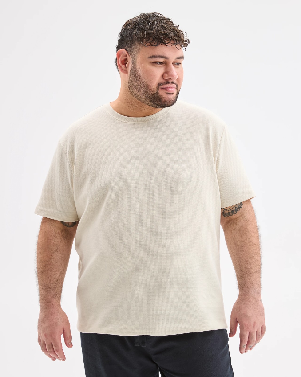 Plus Size Australian Cotton Blend Textured T-Shirt  - Birch 4 of 6