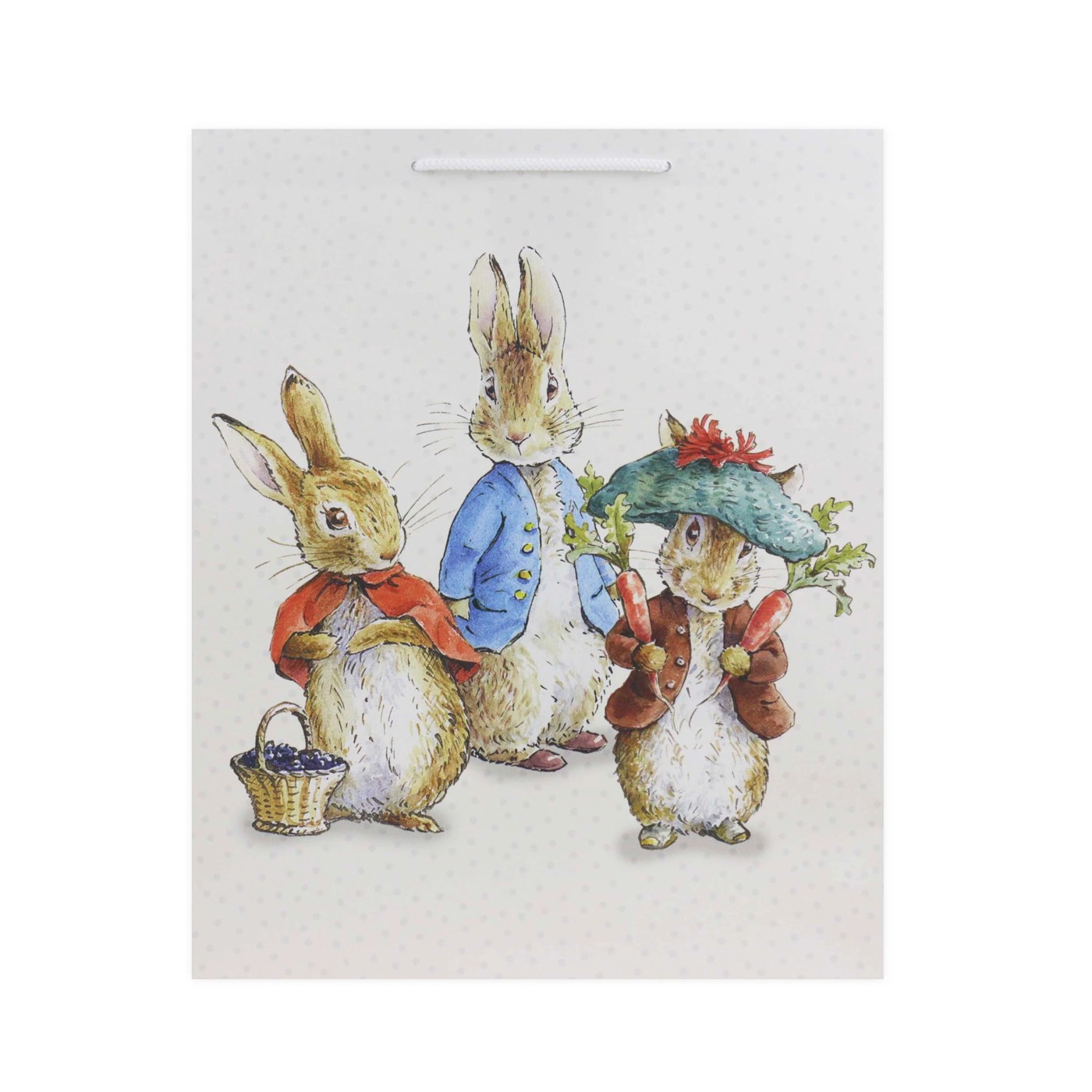 Hallmark Peter Rabbit Gift Bag - Large 2 of 3
