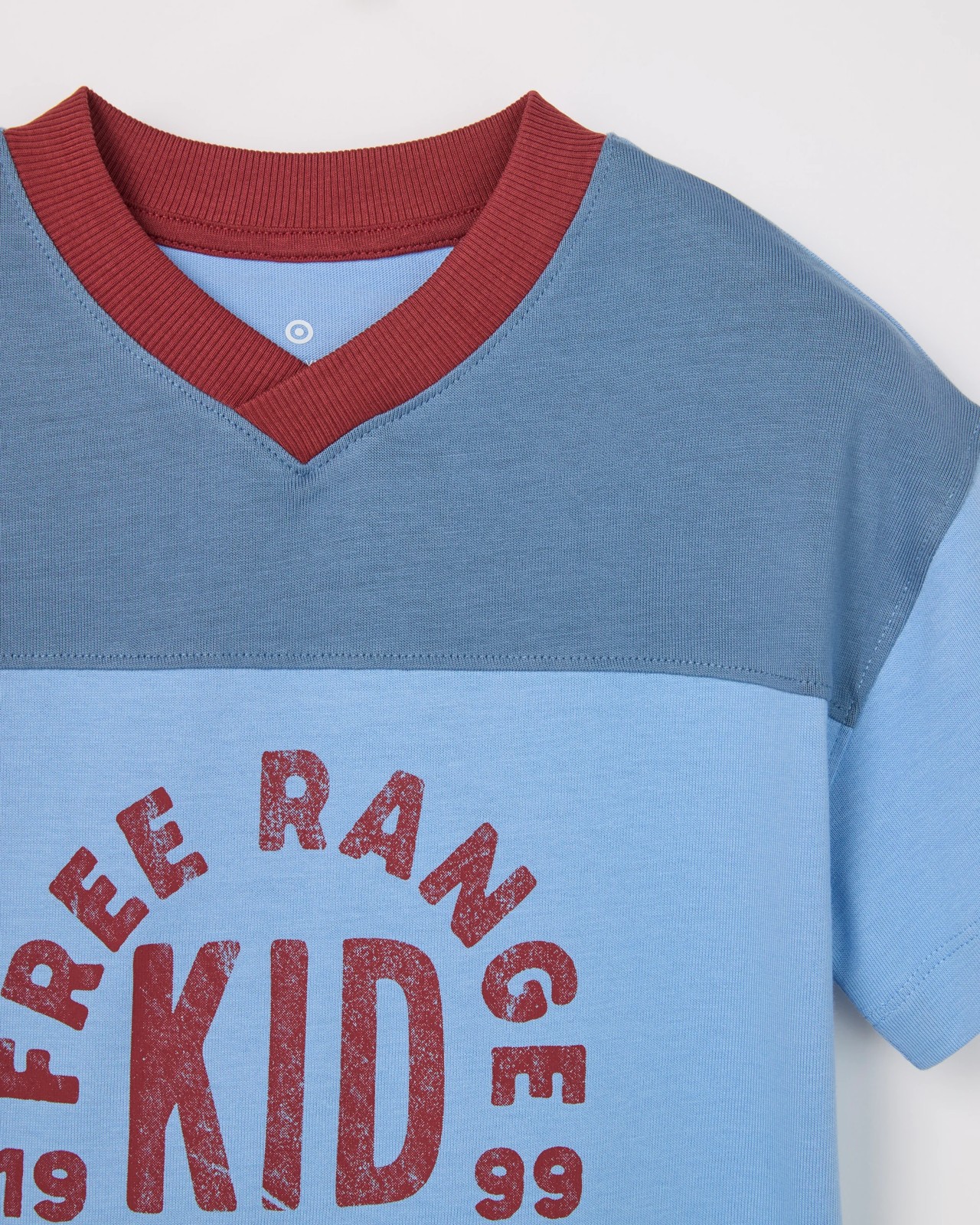 Australian Cotton Oversized V-Neck T-Shirt - Blue 6 of 6