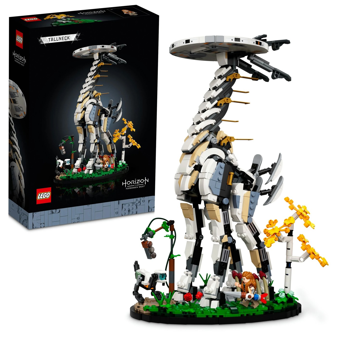 66929208-IMG-000
