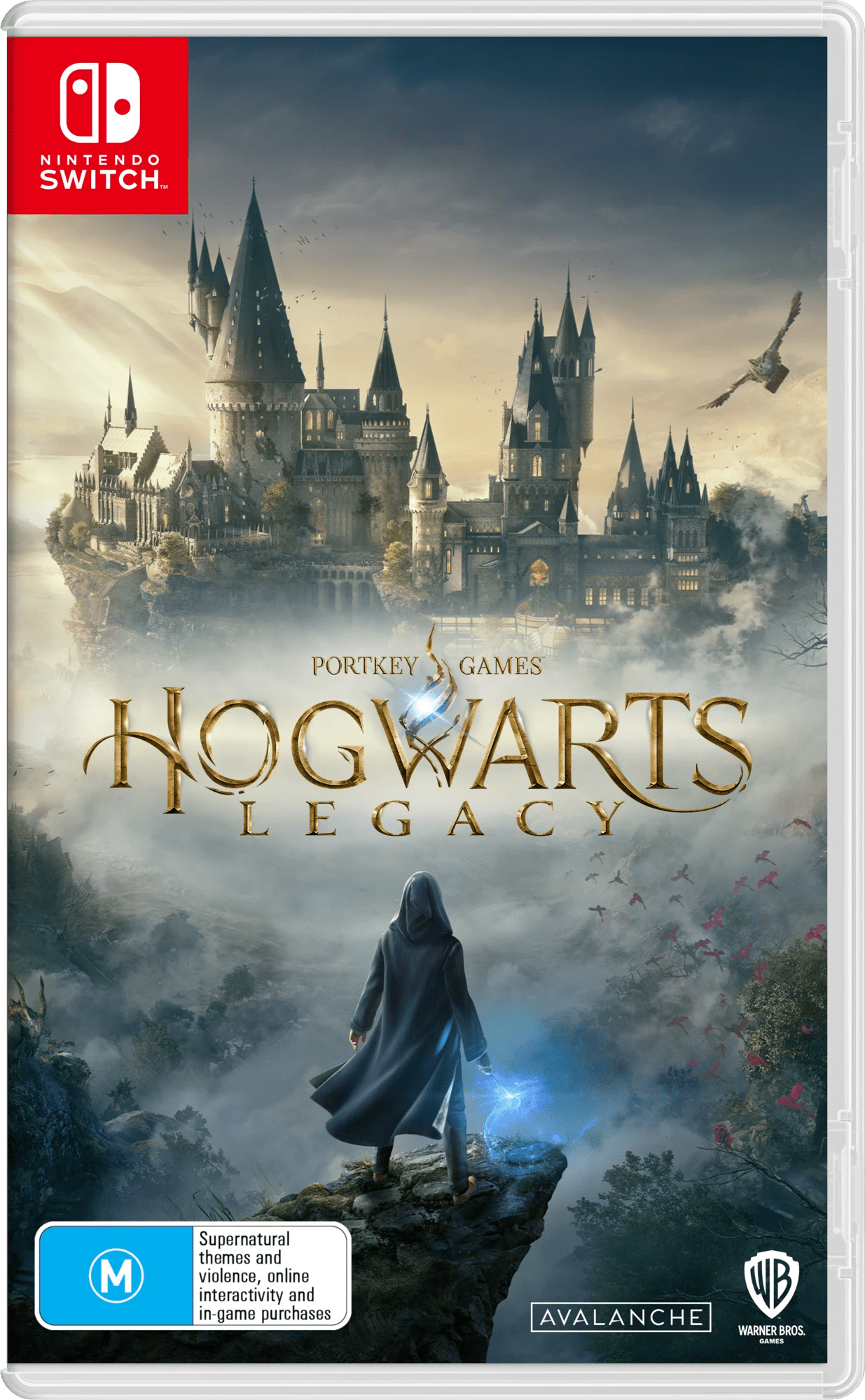 Hogwarts Legacy - Nintendo Switch : Target