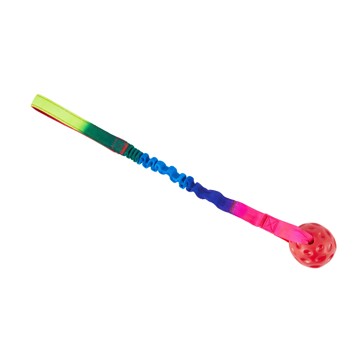 Pet Bungee Ball Toy with Handle - Anko