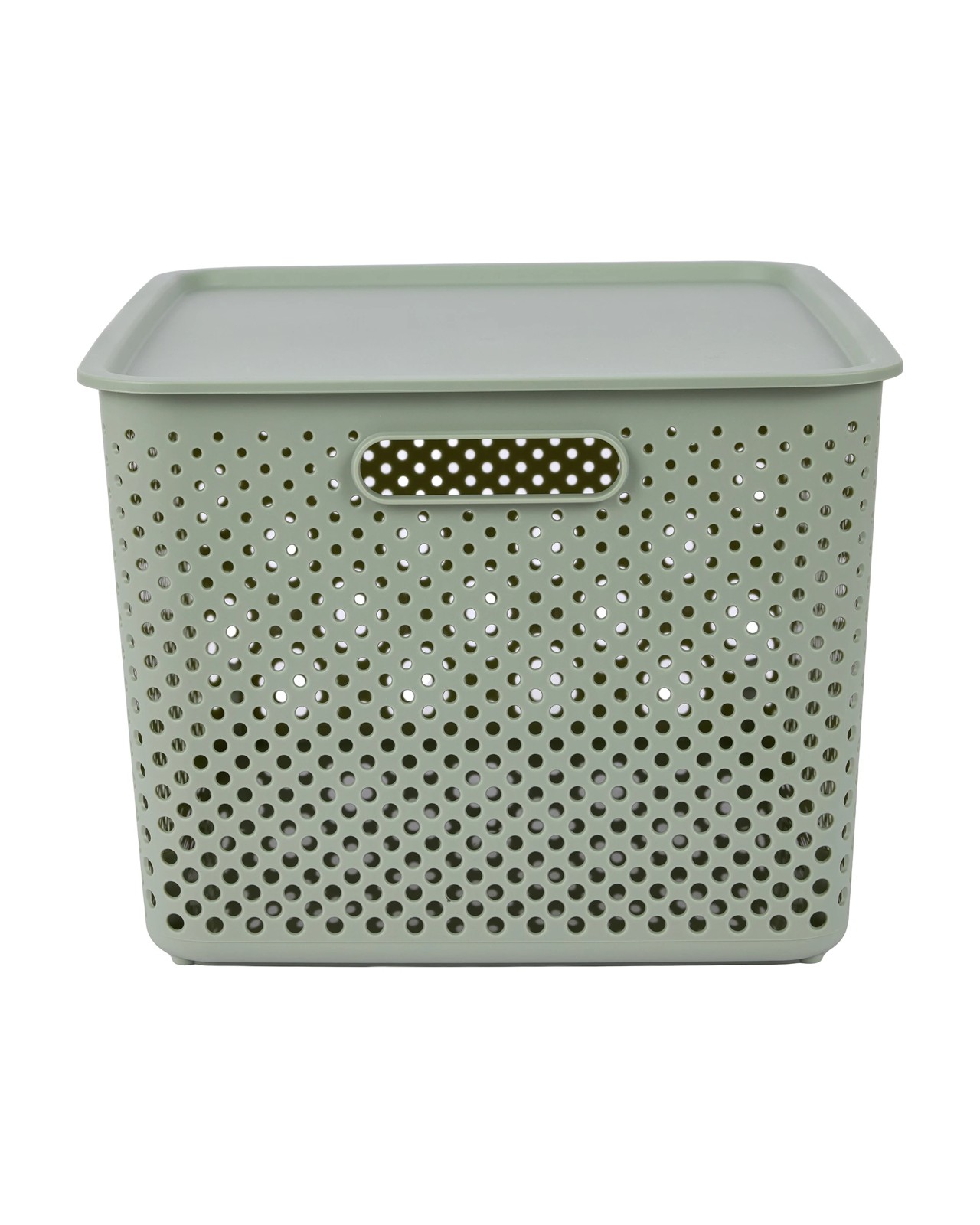 Anko 18L Dot Container - Green 3 of 6
