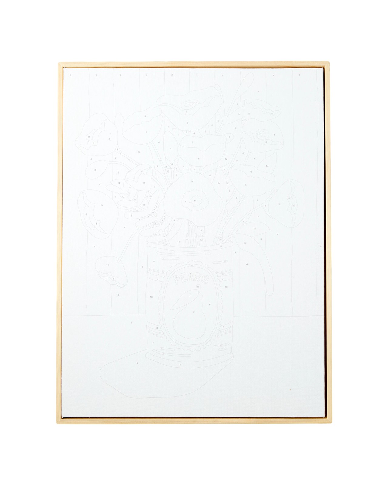 Anko Paint by Numbers Framed Canvas Kit - Floral 2 of 3