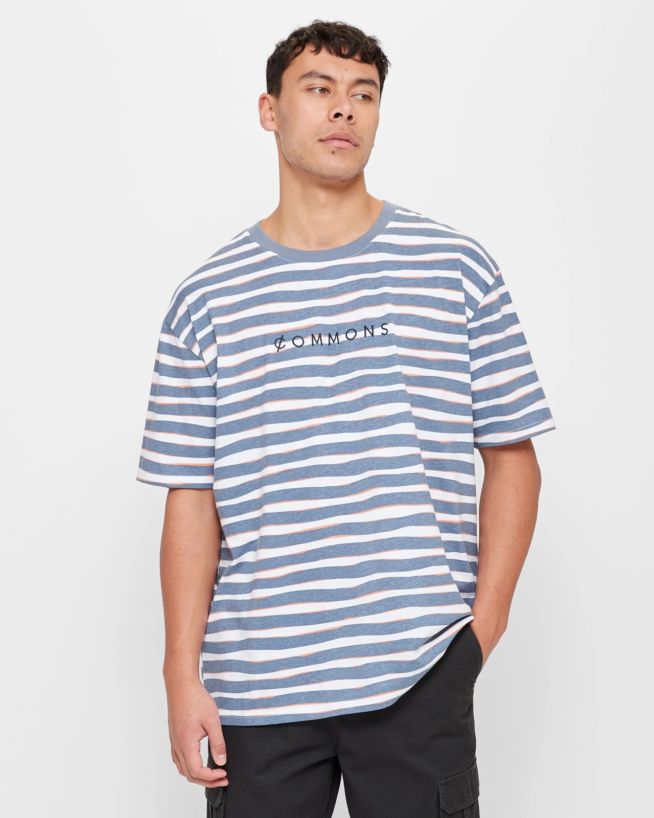 Commons Jaggad Stripe T-Shirt | Target Australia