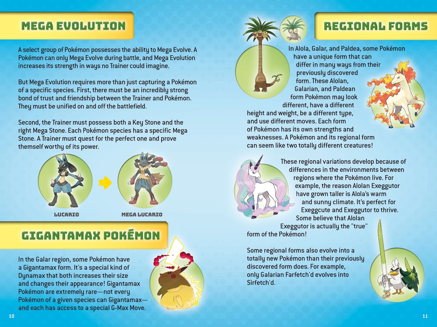 Pokemon: Super Duper Extra Deluxe Essential Handbook - Book 5 of 6