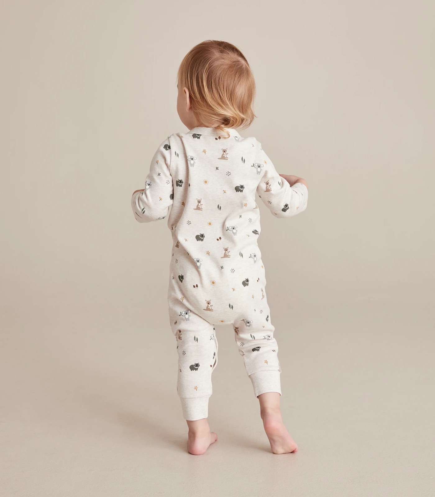 355_67559756_17+238234