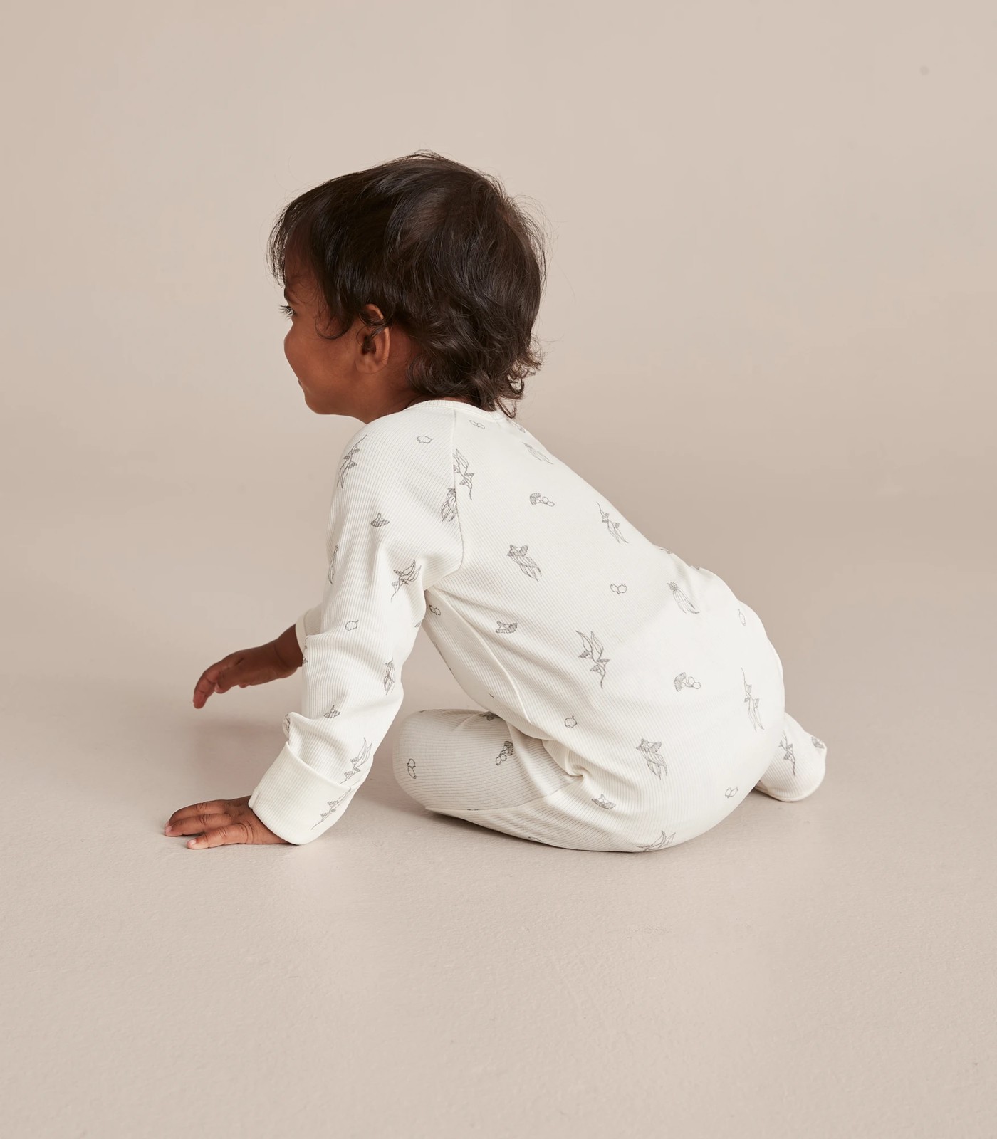 355_67243266_24+2227A9