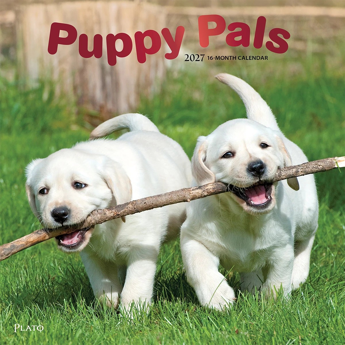 2027 16-Month Calendar - Dogs, Assorted 5 of 6