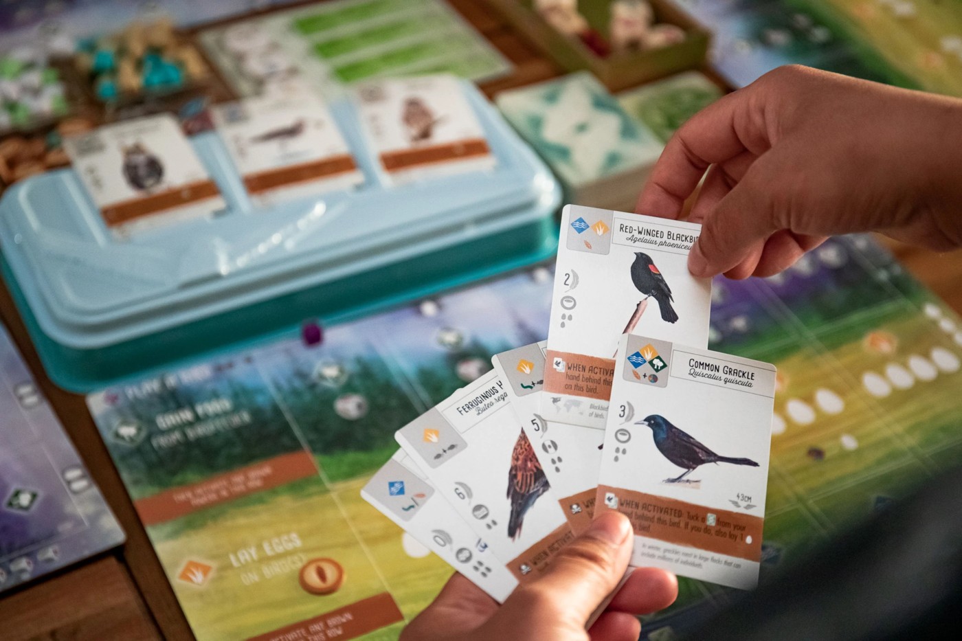 Wingspan Board Game 2 of 2