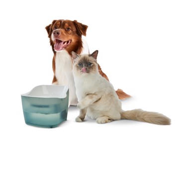 Pet Water Fountain - Anko