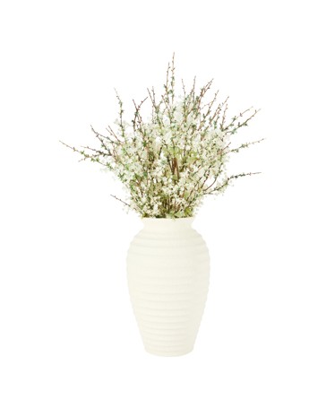 Anko Tall Ribbed Ceramic Vase