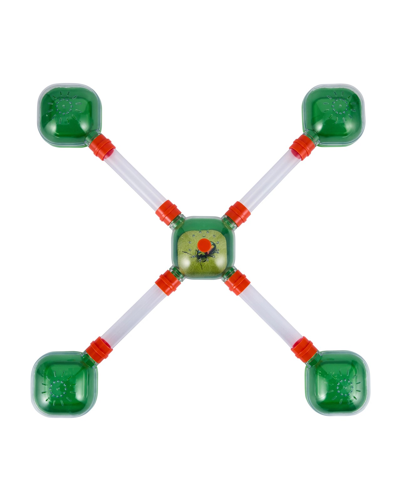 Anko Bug City 4 of 5