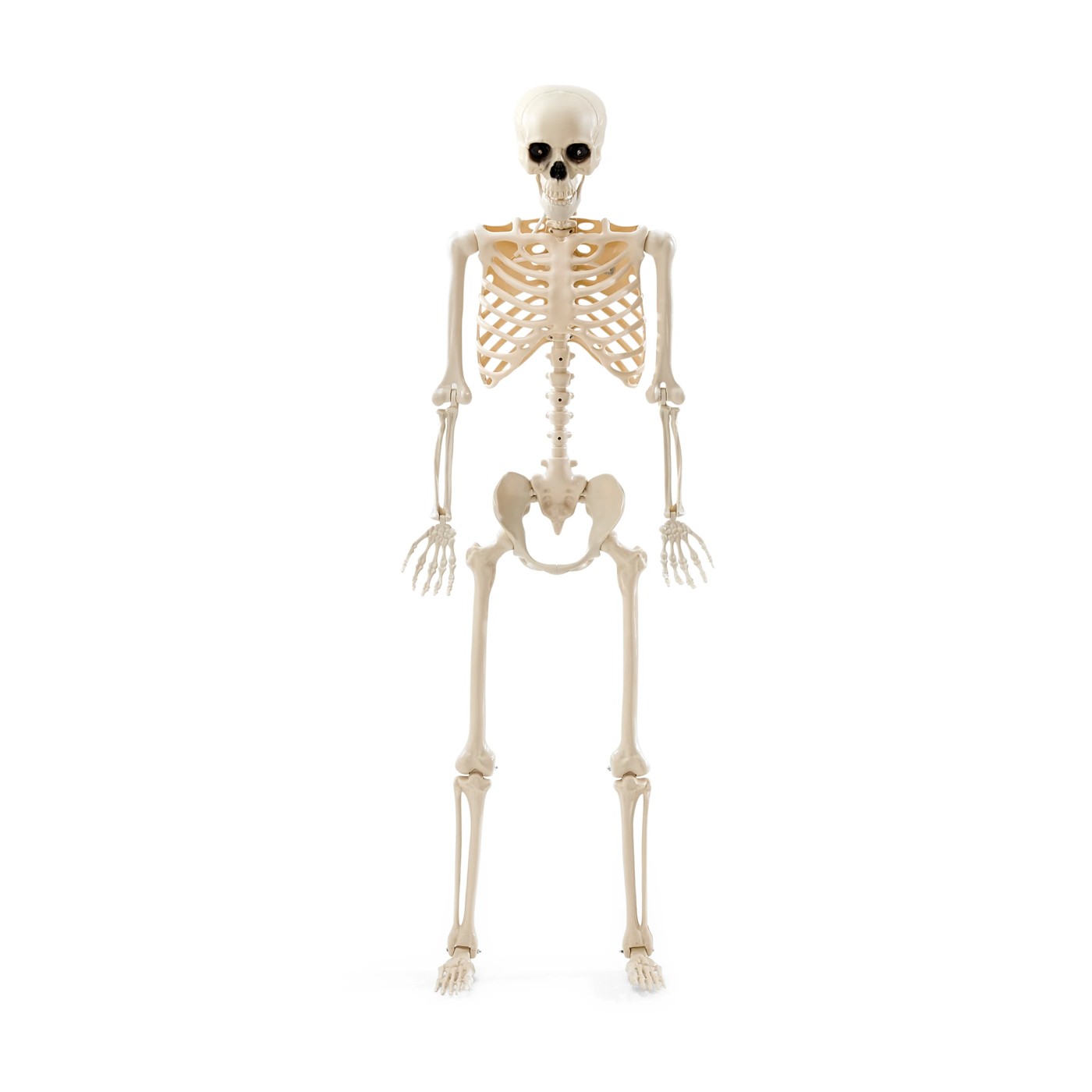 Anko Battery Operated LED Light Up Poseable Skeleton 4 of 6