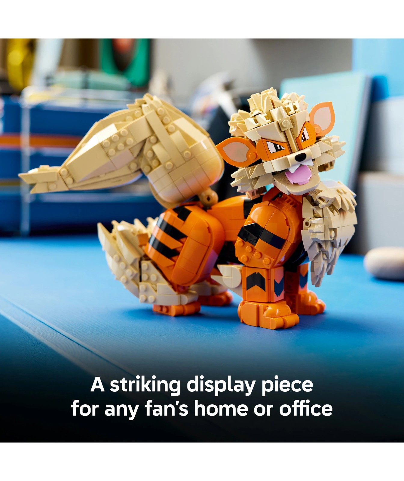 73174394-IMG-006