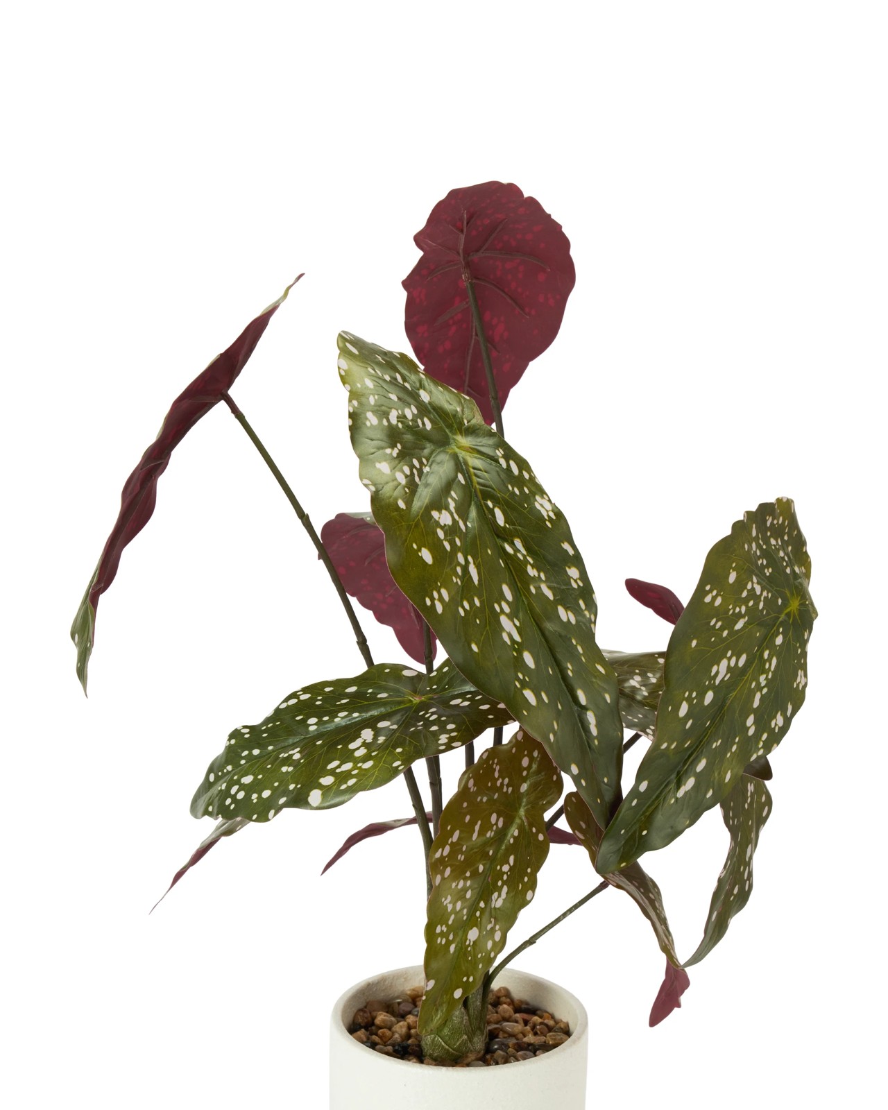 Anko Artificial Spotted Plant in Pot 2 of 3