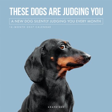 2027 16-Month Calendar - Dogs, Assorted