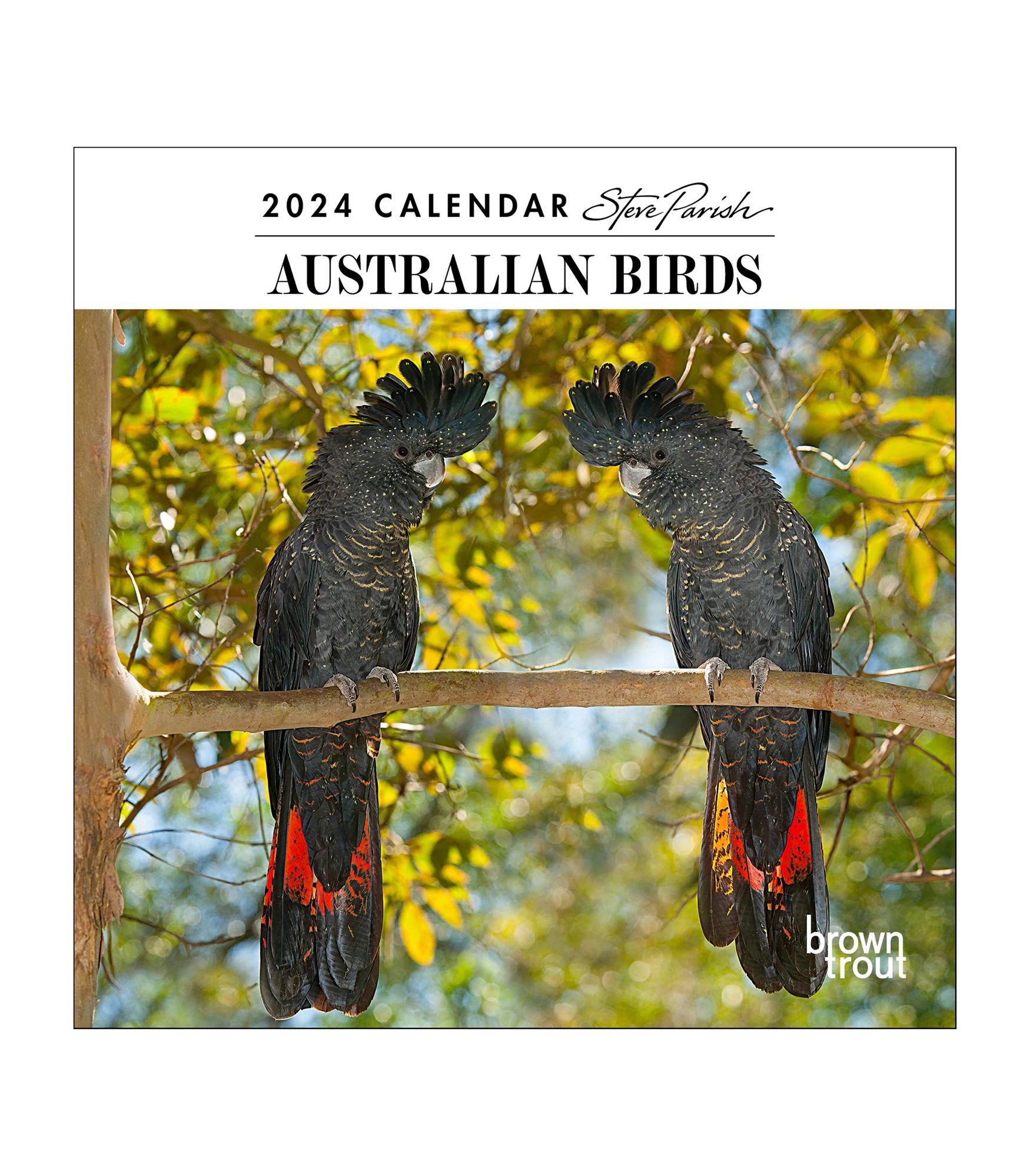 Australian Birds Steve Parish 2024 Mini Calendar Target Australia   68483876 IMG 000