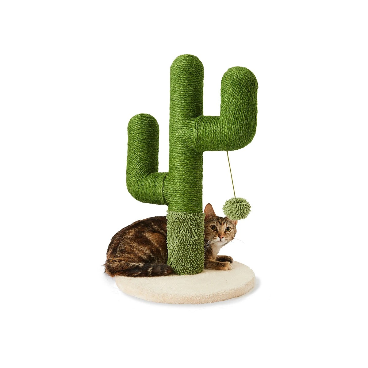 Cat Scratcher Cactus Anko Target Australia