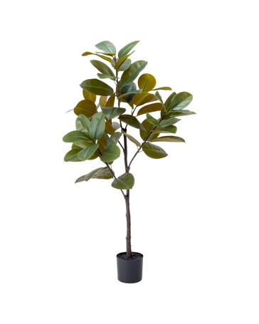 Anko Extra Large Artificial Rubber Tree
