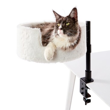 Anko Clip on Cat Bed