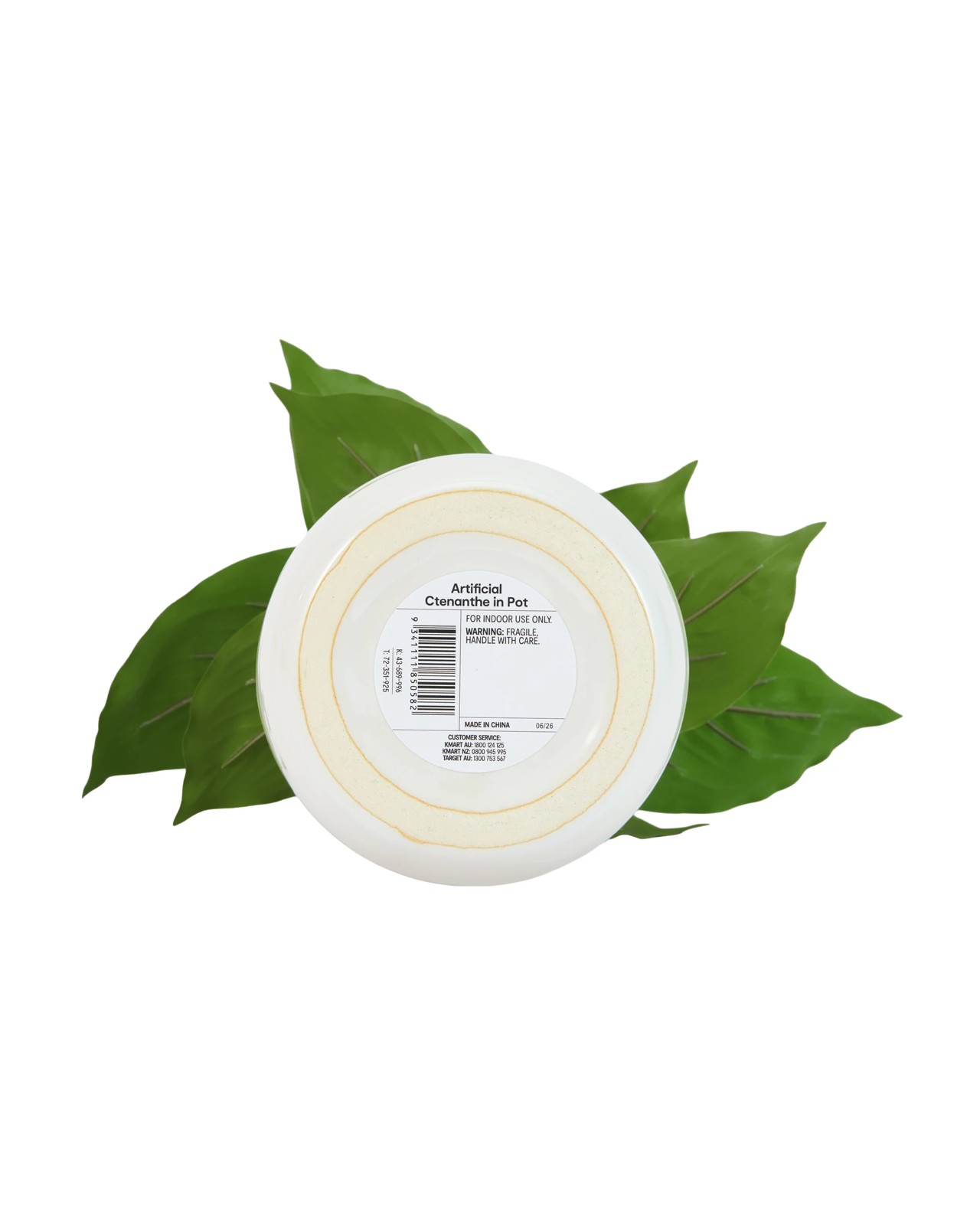 Anko Artificial Ctenanthe in Pot 3 of 3