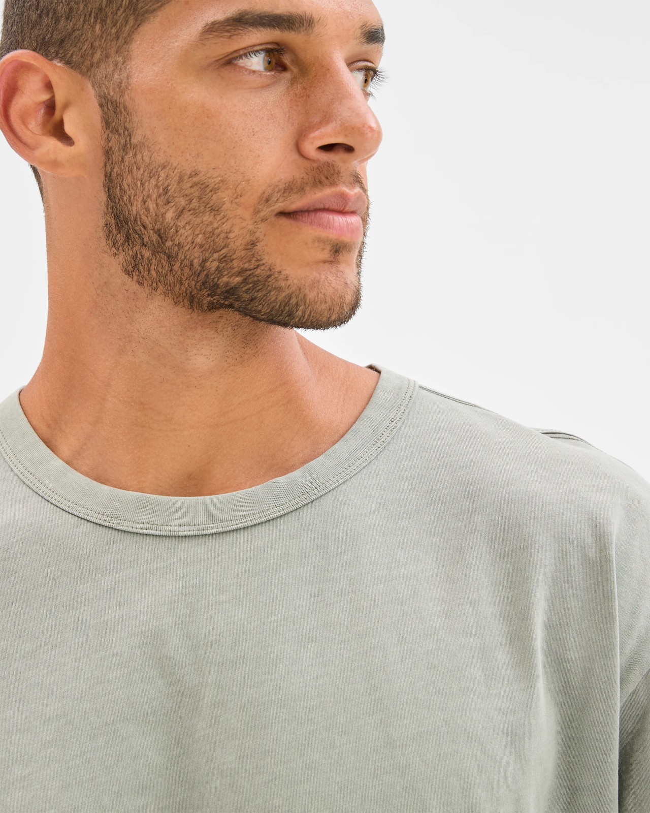 Australian Cotton T-Shirt  - Putty 5 of 6