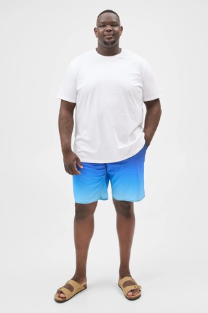 Plus Size Gradient Swim Boardshorts