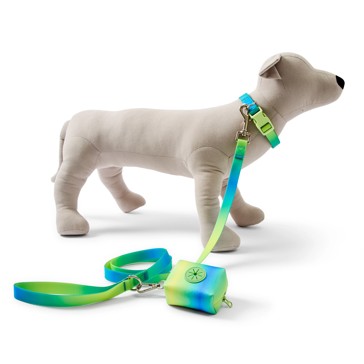 Pet Ombre Walking Set, Large - Anko